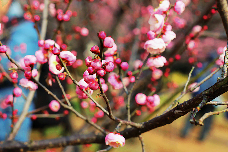 2014112ͽ 076.jpg