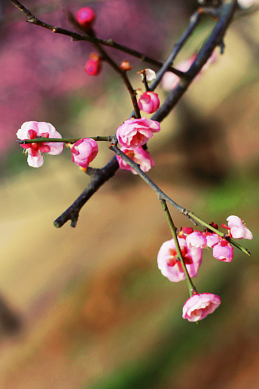 2014112ͽ 078.jpg