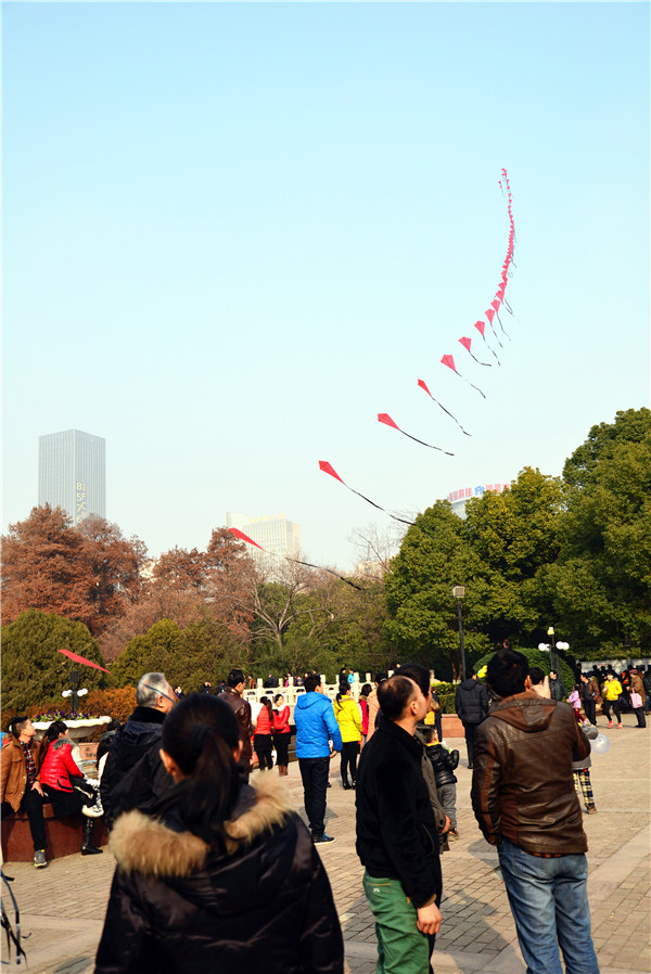 dsc_2134_.jpg