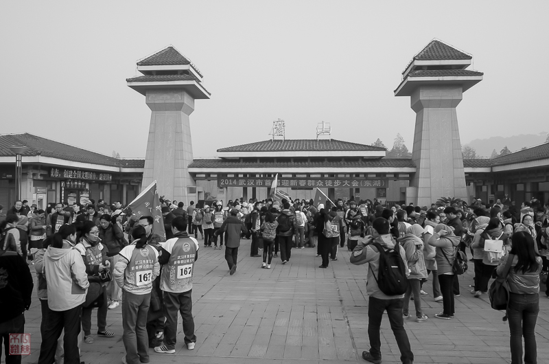 l1003512-2.jpg