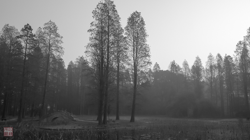 l1003522-2.jpg