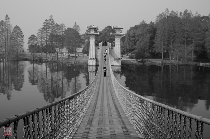 l1003571-2.jpg