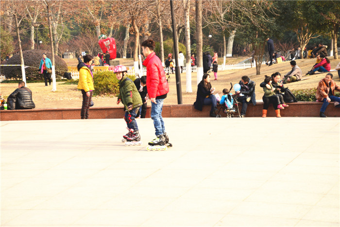 dsc_2162_.jpg