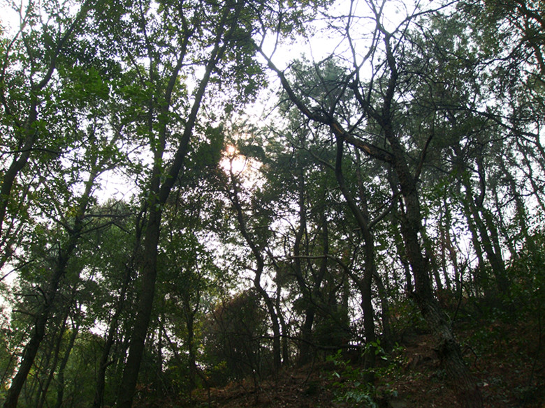 dsc02969_.jpg