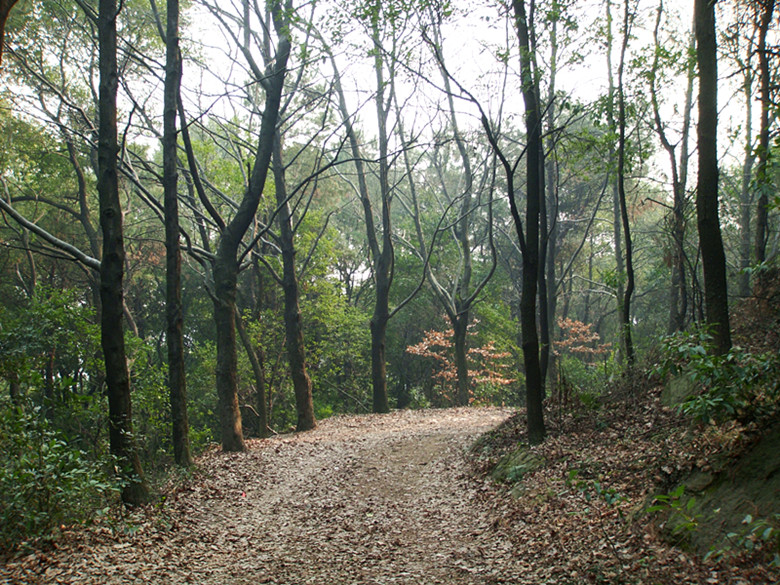 dsc02965_.jpg