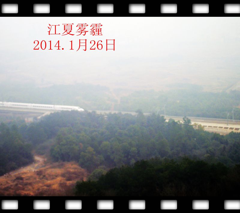 dscf0008.jpg