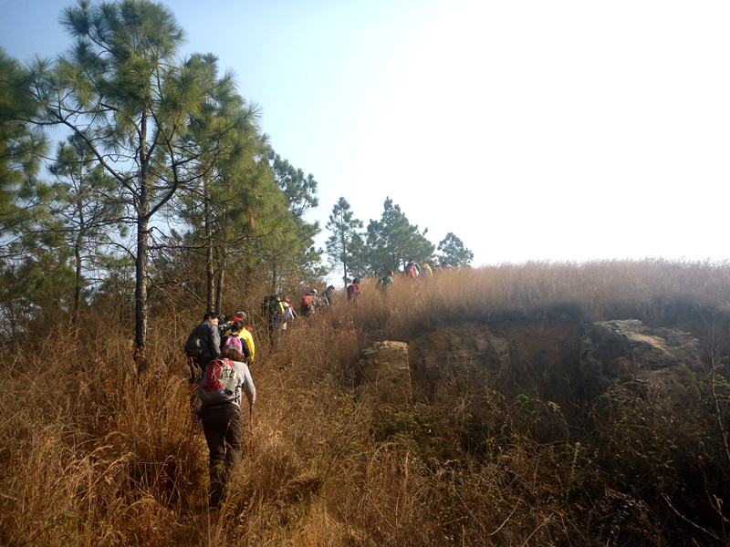p1170660_.jpg