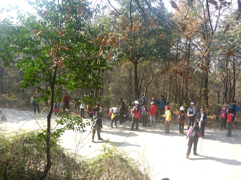 p1170679_.jpg