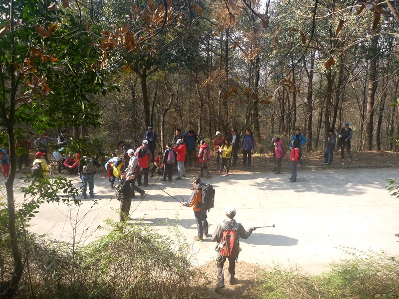 p1170681_.jpg