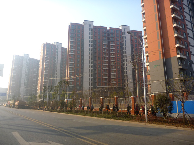 p1170645_.jpg