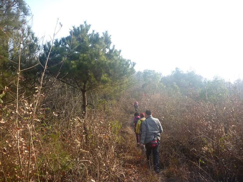 p1170647_.jpg