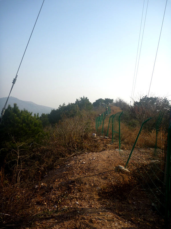 p1170653_.jpg