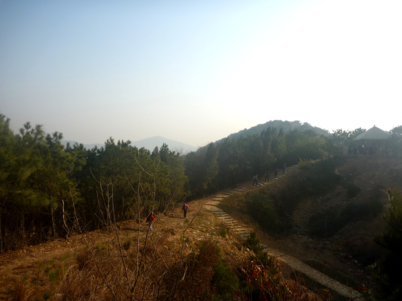 p1170648_.jpg