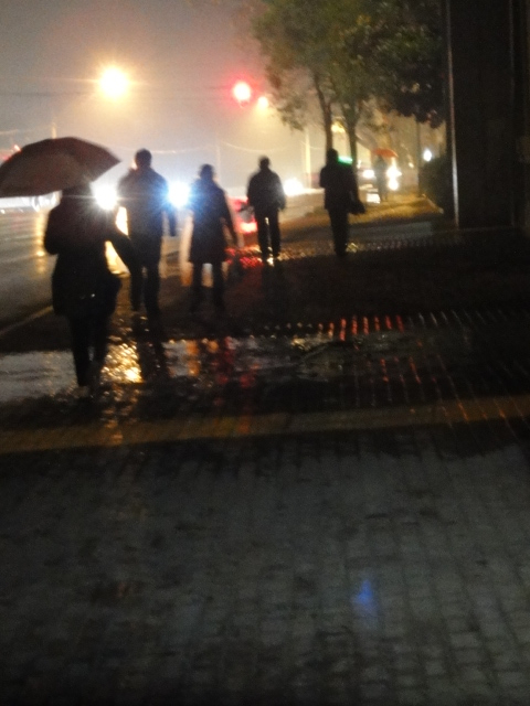 dsc02377_.jpg