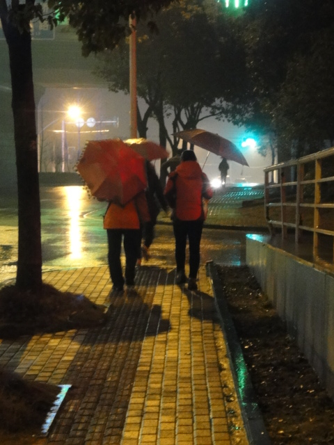 dsc02375_.jpg