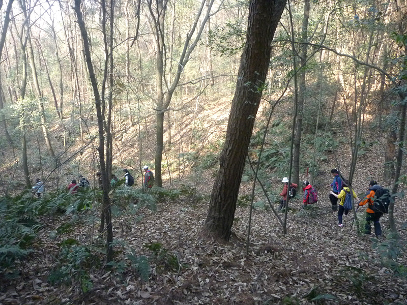 p1170678_.jpg