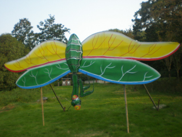 pa010116.jpg