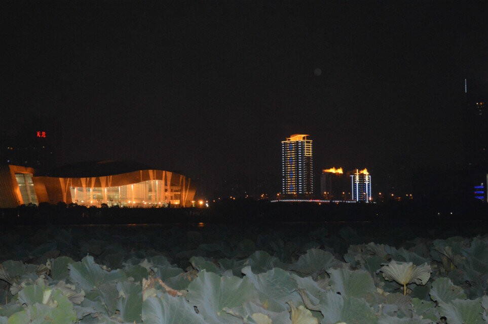 qqͼƬ20141011220256.jpg