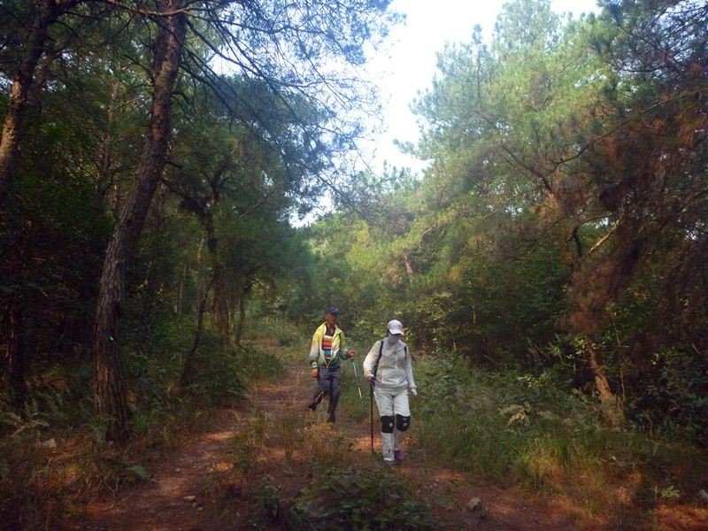 p1220524_.jpg