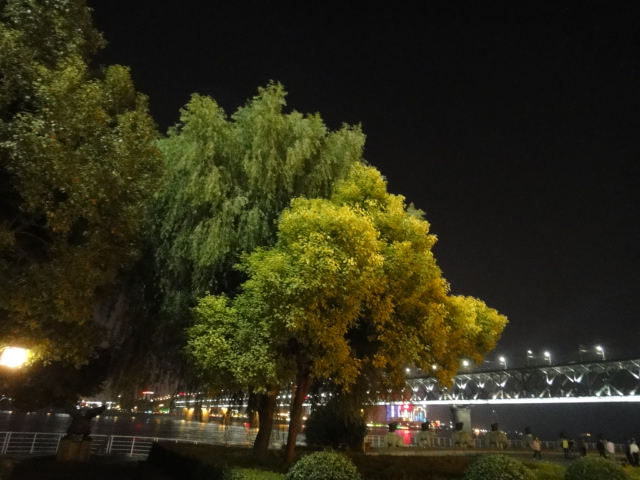 dsc04823.jpg