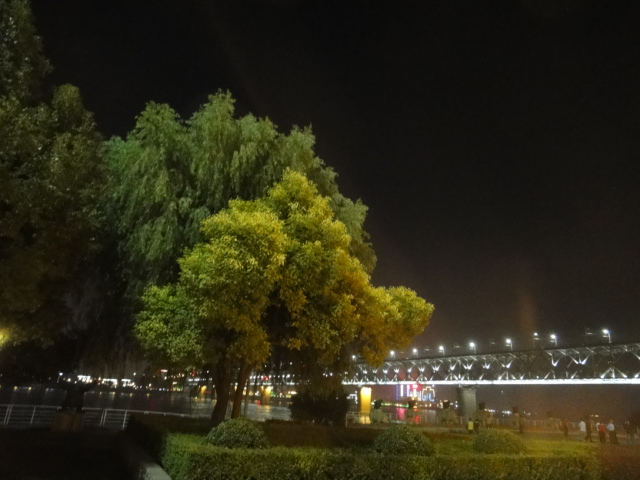 dsc04822.jpg