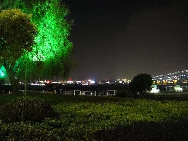 dsc04728.jpg