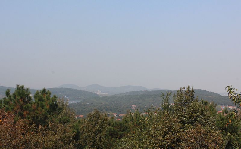 img_7915.jpg