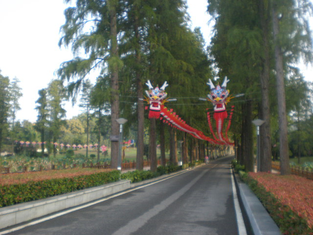 pa010102.jpg