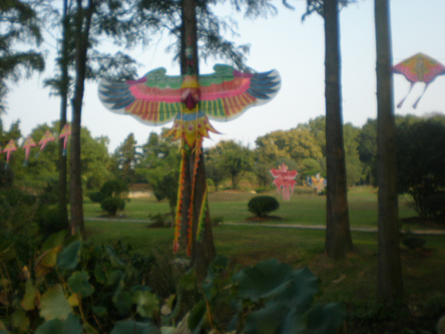 pa010103.jpg