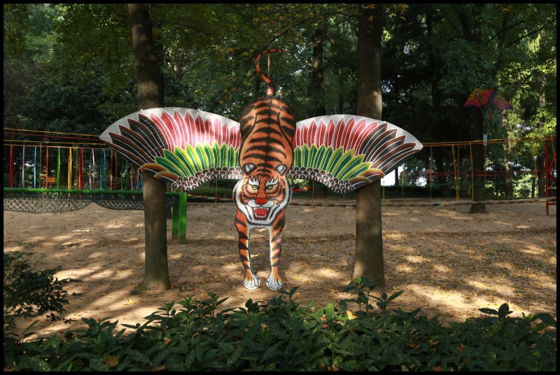 conew_1 008.jpg