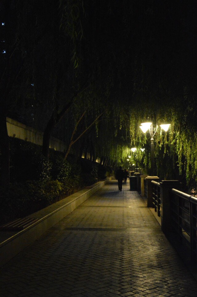 qqͼƬ20141110213117.jpg
