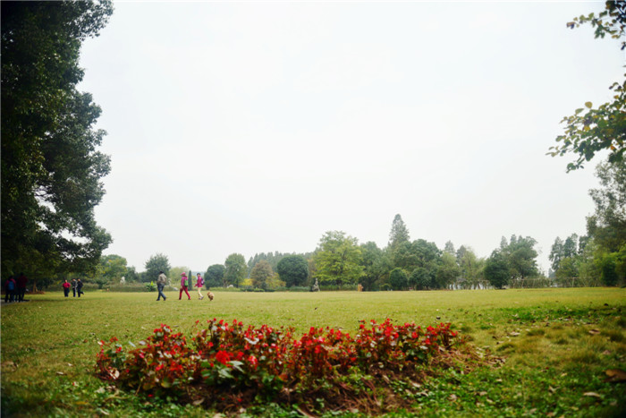 dsc_3446_.jpg