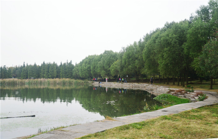 dsc_3441_.jpg
