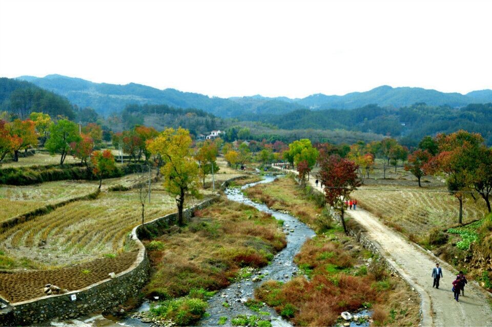 qqͼƬ20141109125219.jpg