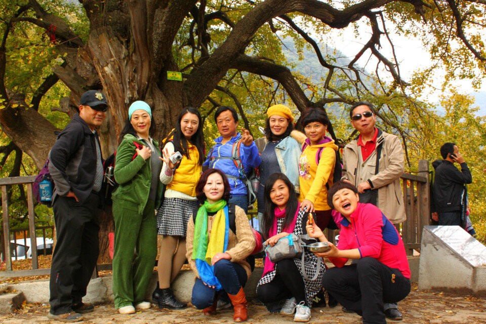 qqͼƬ20141113011235.jpg