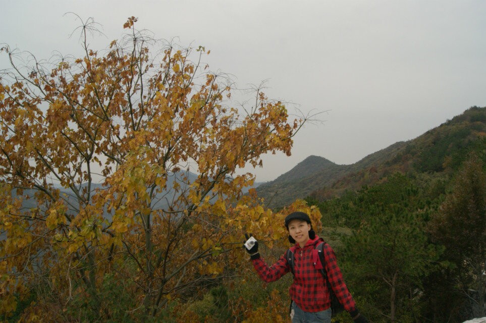 qqͼƬ20141117231409.jpg