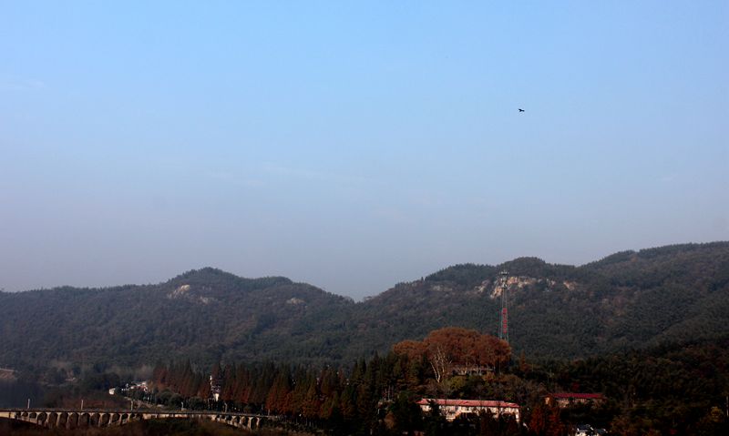 img_9740.jpg