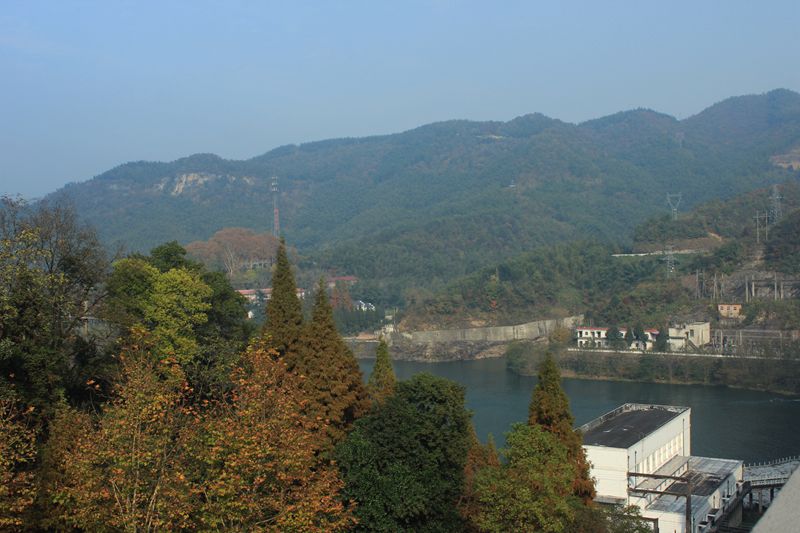 img_9681.jpg