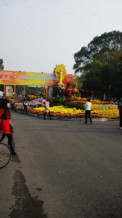img20141116153640.jpg
