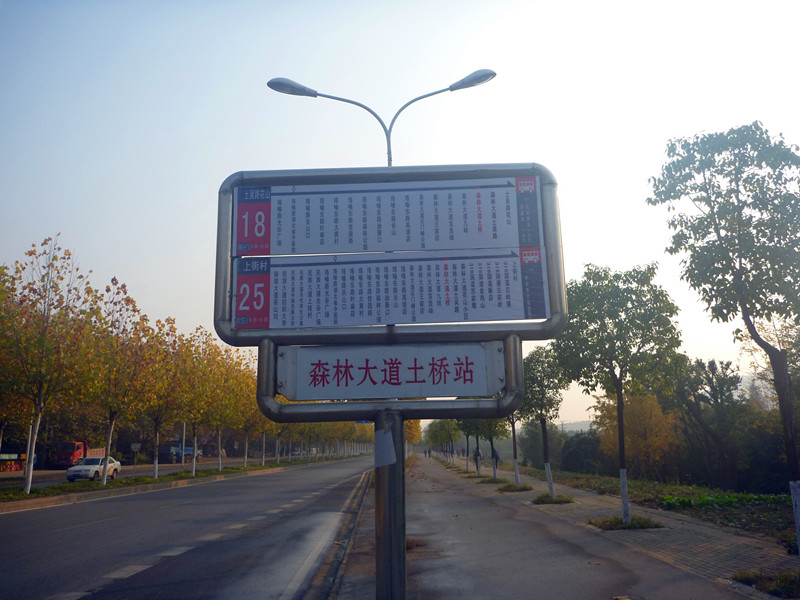 p1240084_.jpg