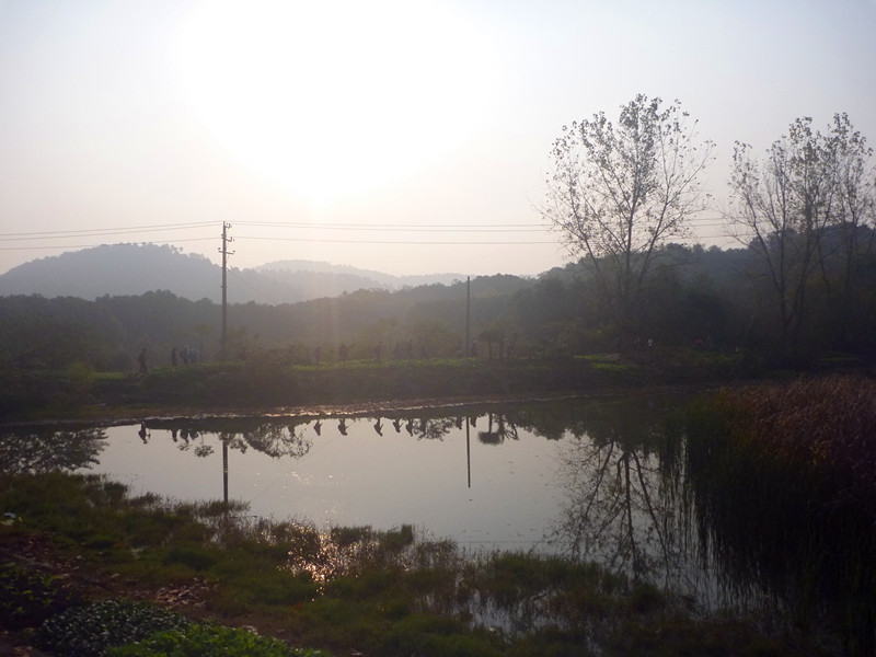 p1240086_.jpg