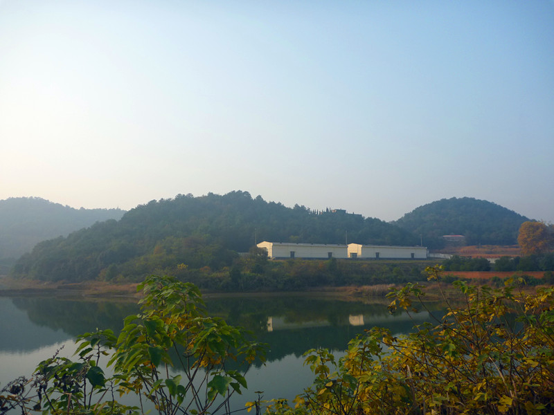 p1240088_.jpg