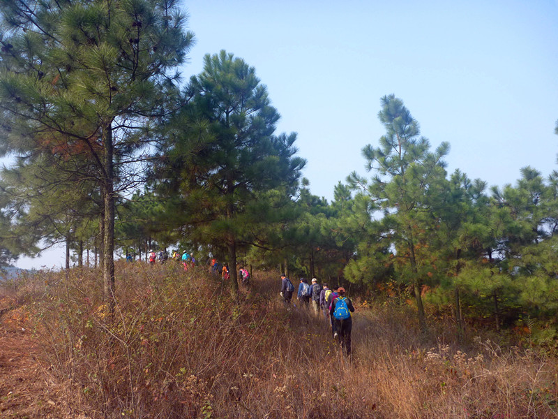 p1240097_.jpg