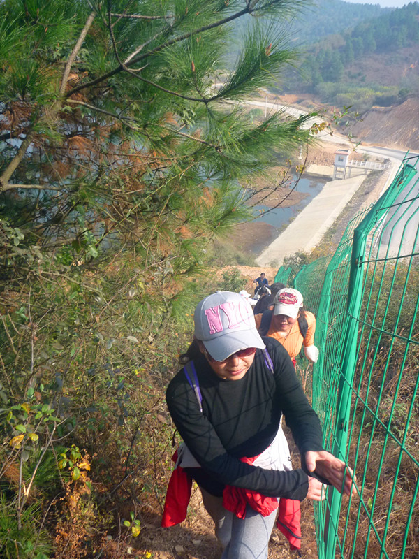 p1240099_.jpg