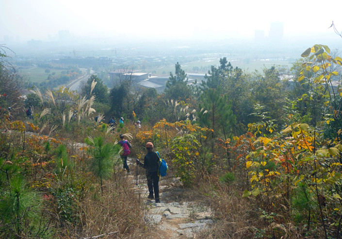 p1240102_.jpg