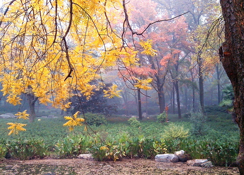 img_20141123_074918.jpg