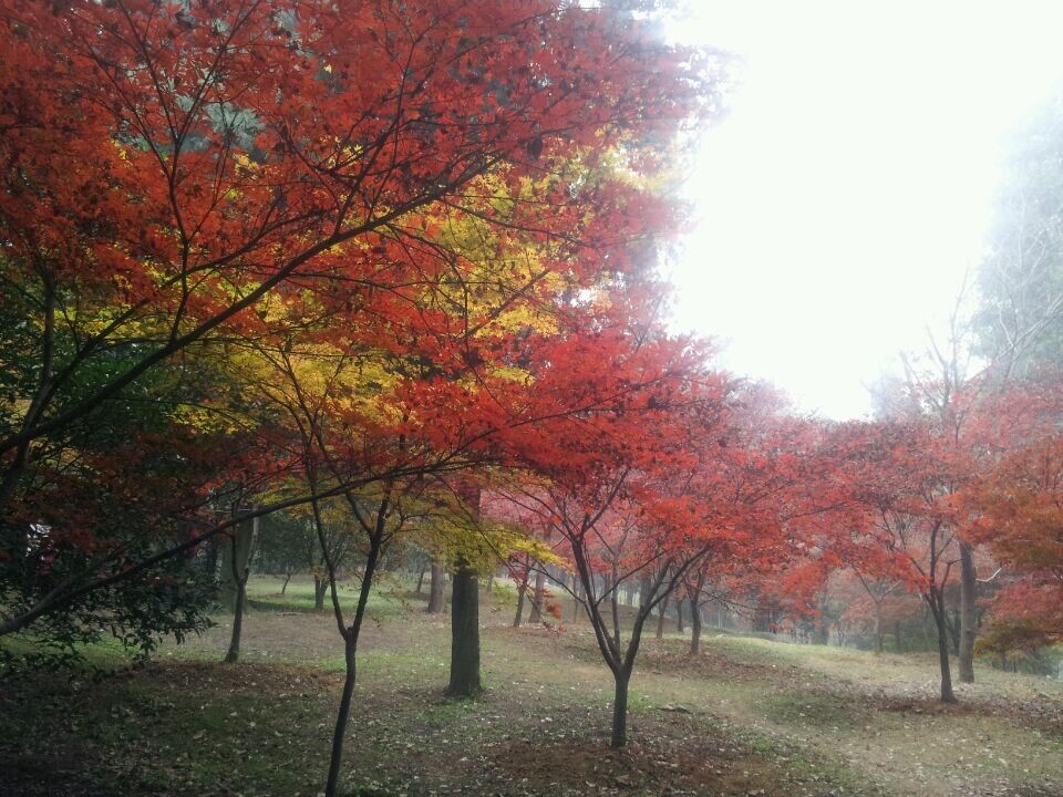 qqͼƬ20141123160718.jpg
