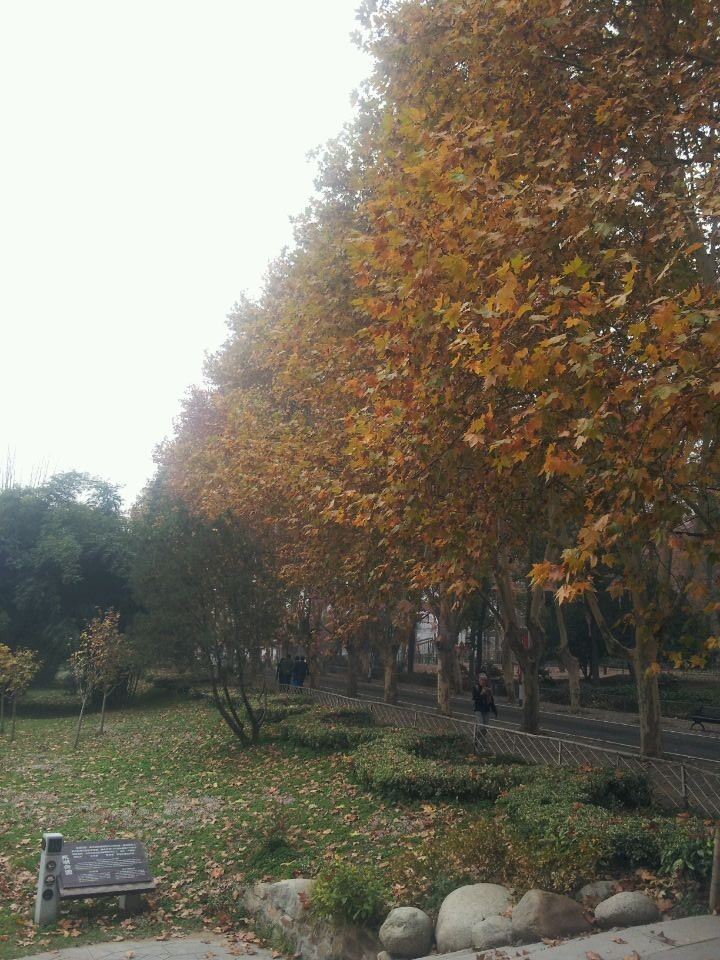 qqͼƬ20141123160711.jpg