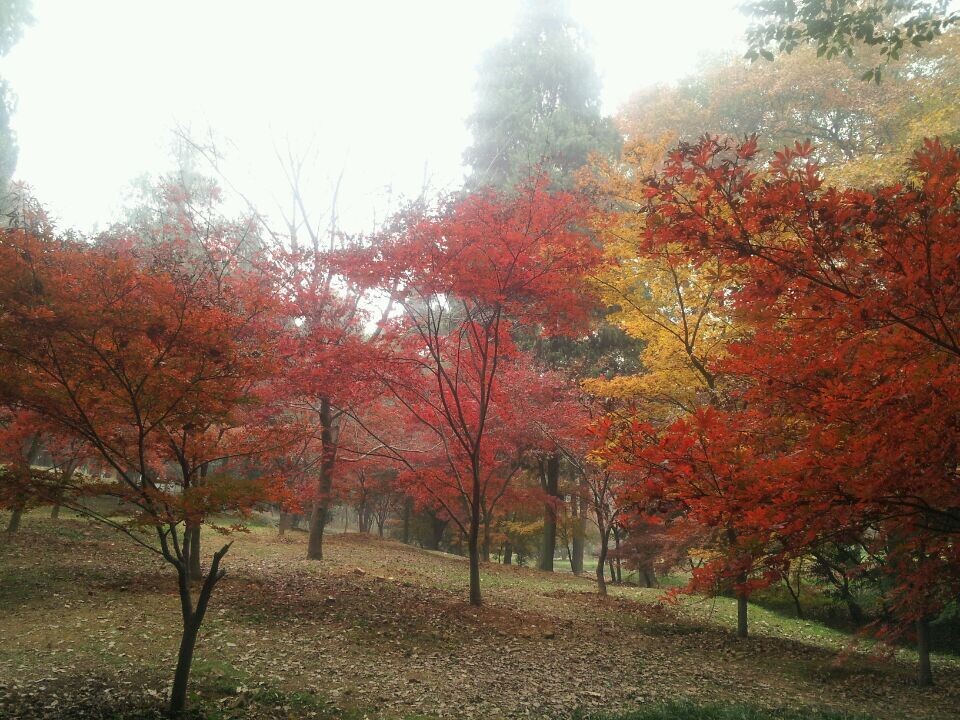 qqͼƬ20141123160739.jpg