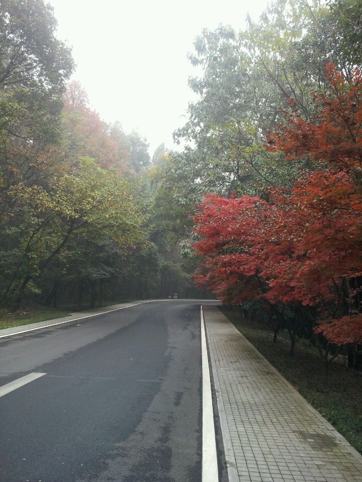 qqͼƬ20141123160745.jpg